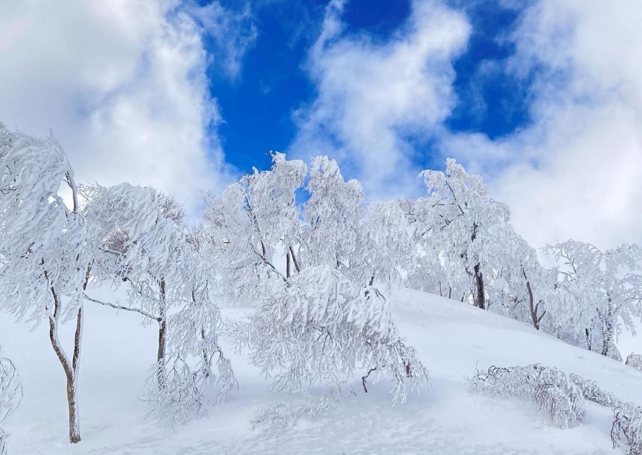 Отель Nabekura Kougen Mori-No-Ie Iiyama Экстерьер фото